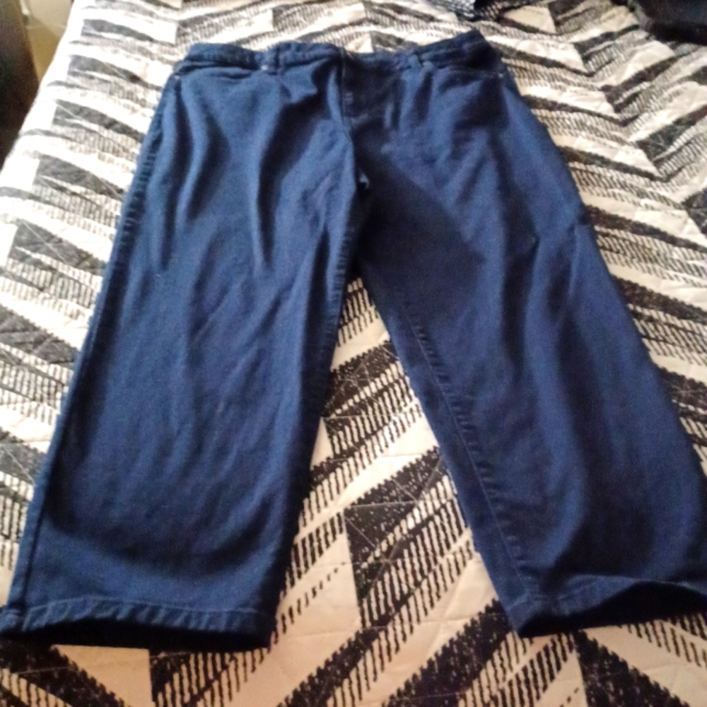 Style & Co pants